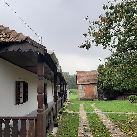 Bodrogparti Vendeghaz Sarazsadany Hotell Exteriör bild