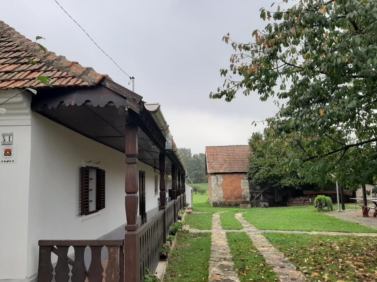 Bodrogparti Vendeghaz Sarazsadany Hotell Exteriör bild