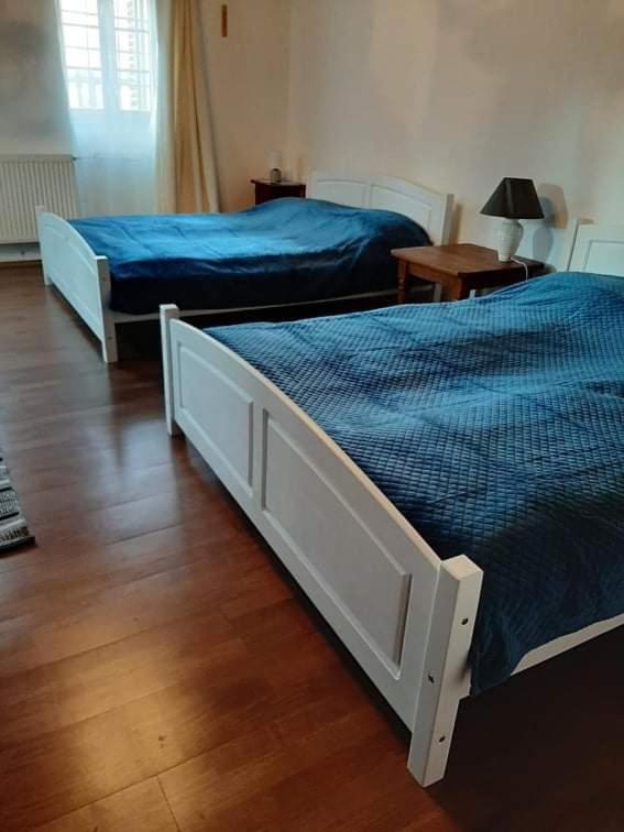 Bodrogparti Vendeghaz Sarazsadany Hotell Exteriör bild