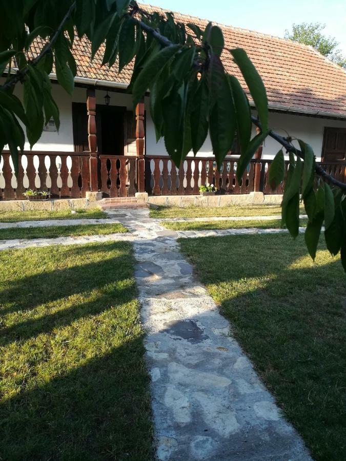 Bodrogparti Vendeghaz Sarazsadany Hotell Exteriör bild