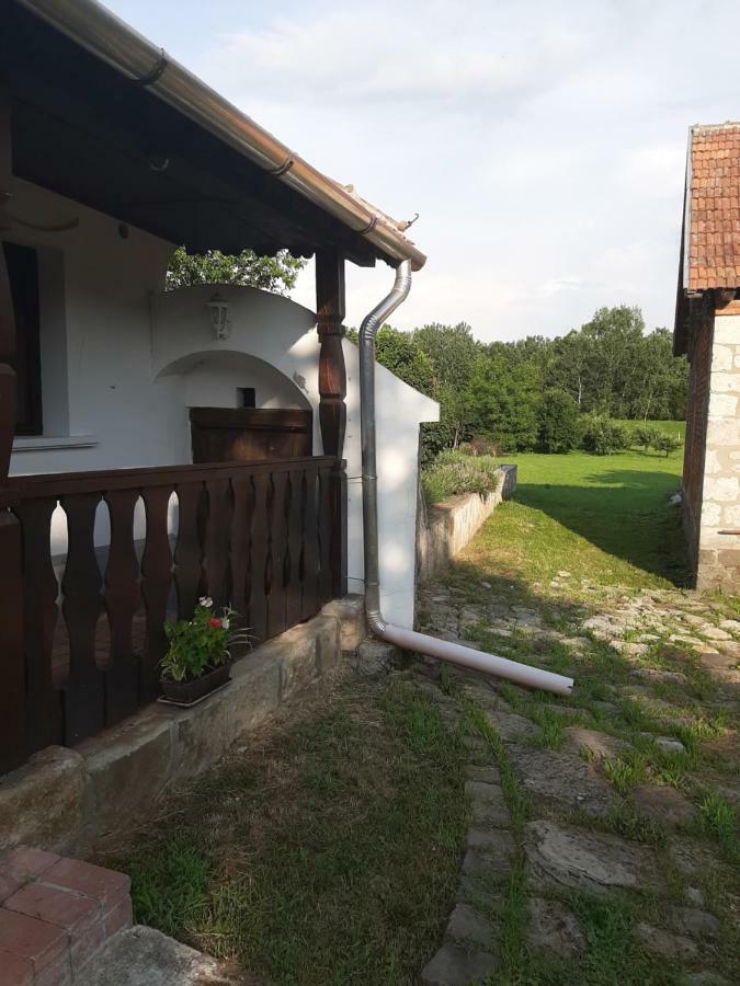 Bodrogparti Vendeghaz Sarazsadany Hotell Exteriör bild